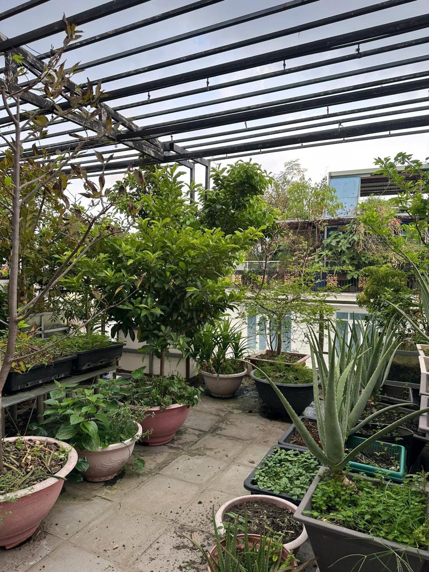 Ở trọ Estella *