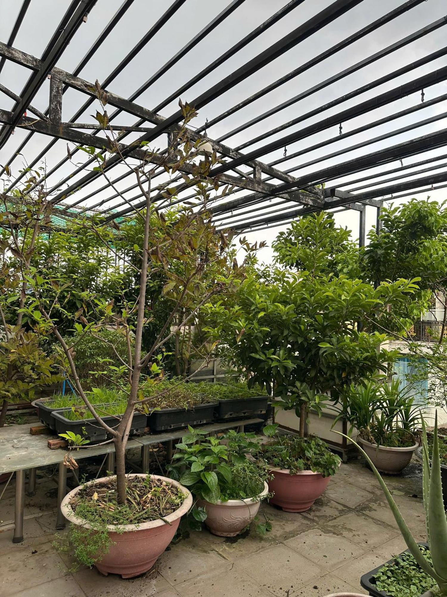 Ở trọ Estella TP. Hồ Chí Minh